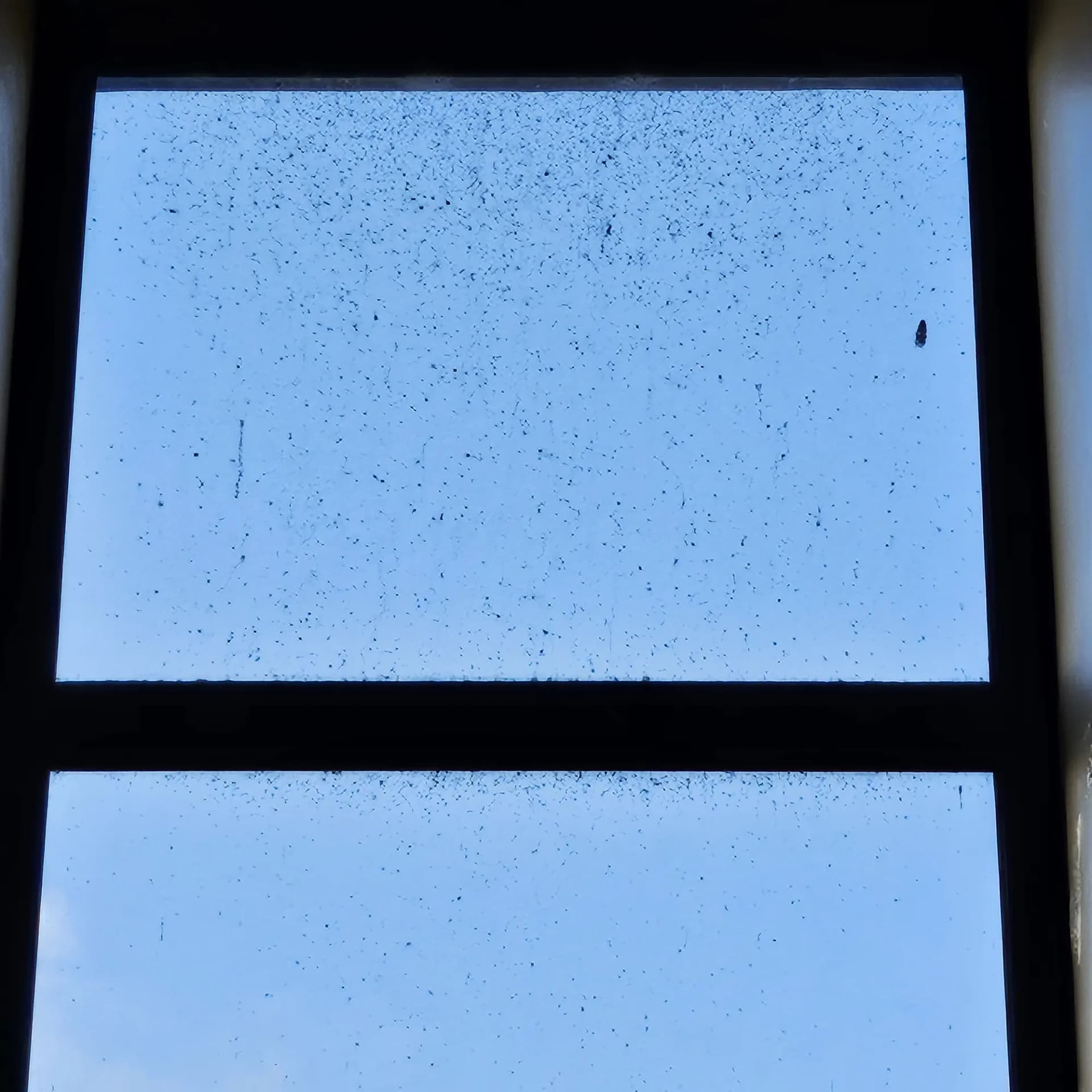 A dirty, speckled skylight with a blue sky behind it